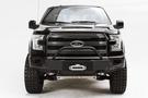 Fab Fours FF15-N3250-1 winch mount front bumper for Ford F150 2015–2020