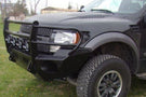 Throttle Down Kustoms front bumper grille guard BGRILFRAP1014 for 2010-2014 Ford F150 Raptor durable front bumper protection