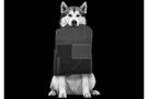 Husky Heavy Duty 1999-2010 Ford F250/F350/F450 Super Duty Center Hump Floor Mat 53001 Black